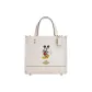 Bag+Dust Bag