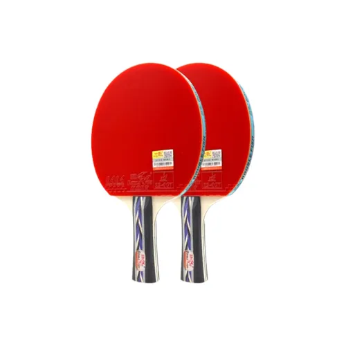 DOUBLE FISH Ping Pong Paddles