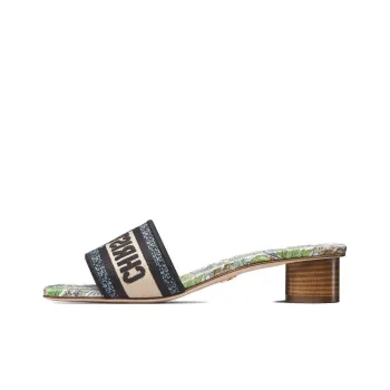 DIOR Dway Odor-Resistant Slide Slippers Women's Black Green