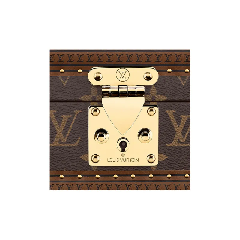LOUIS VUITTON Coated Canvas Storage Box Hard Case Unisex Brown-3