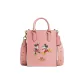 Bag+Dust Bag