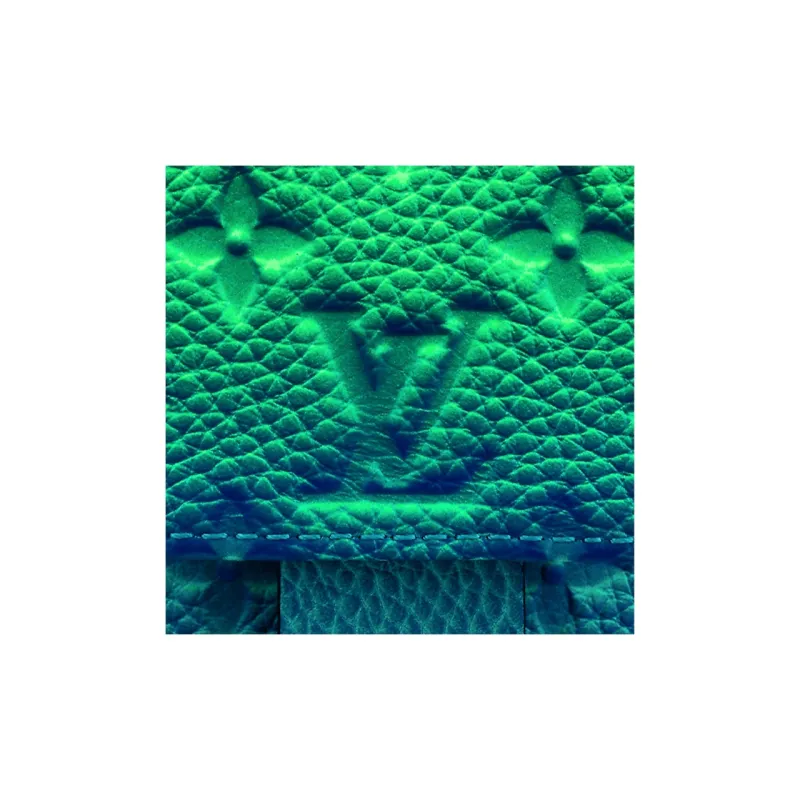 LOUIS VUITTON Double Phone Pouch Taurillon Illusion Blue/Green-4