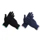 Black+Blue