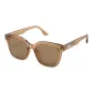 Transparent Tea Brown