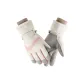 Women's Beige Pink