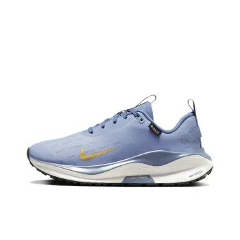 Nike ReactX Infinity Run 4 GORE TEX 'Ashen Slate Metallic Gold' Women's