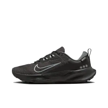 Nike Pegasus Trail 4 Gtx Waterproof Trail Running Shoes 'Black' Women's