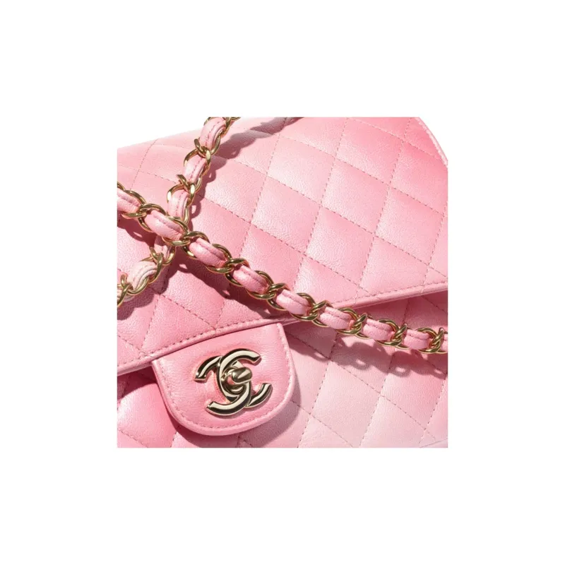 CHANEL Classic Flap CF Cloudy Pearly Goatskin Crossbody Bag, Shoulder Bag Women's Light Pink-4