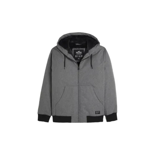 Hollister Jackets Men Gray