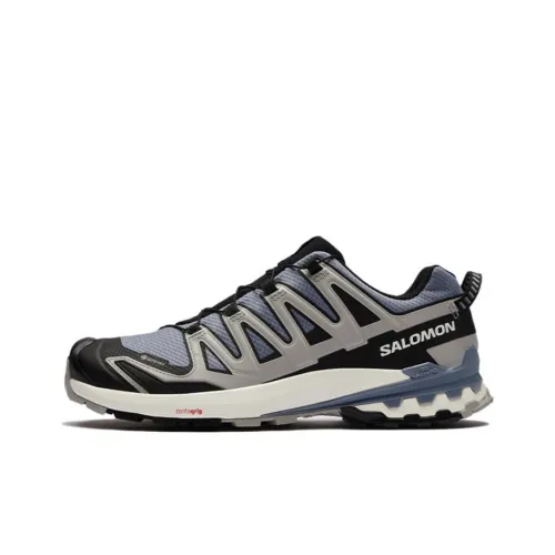 SALOMON XA Pro 3D V9 GORE-TEX 'Flint Stone Ghost Grey'