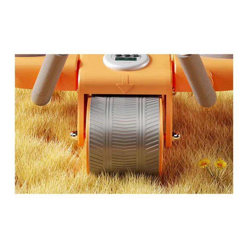 Snode Abdominal Rollers-3