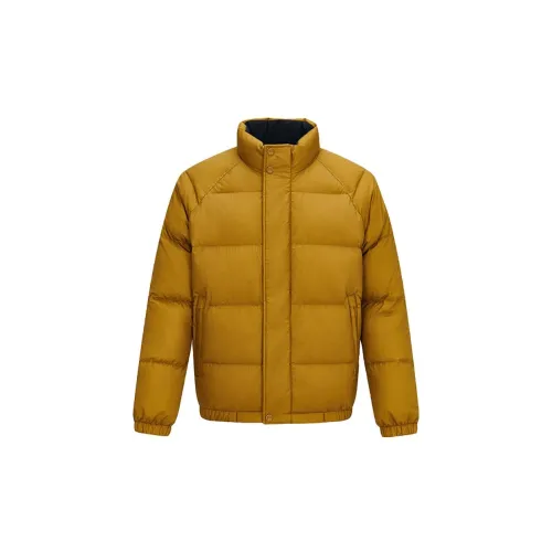 HAZZYS Down Jackets Men Mustard Yellow