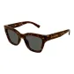 Tortoiseshell