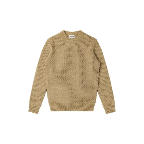 LACOSTE Knitwear Men Light Khaki