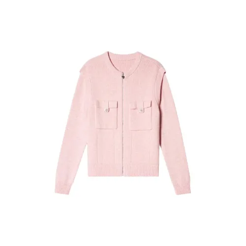 P.Salt Knitwear Women's Pink