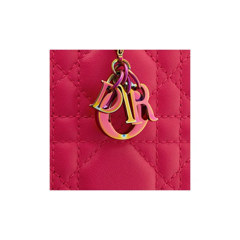 DIOR Lady DIOR Cellphone Pouches-3