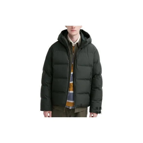 UNIQLO Down Jackets Men Pine Green