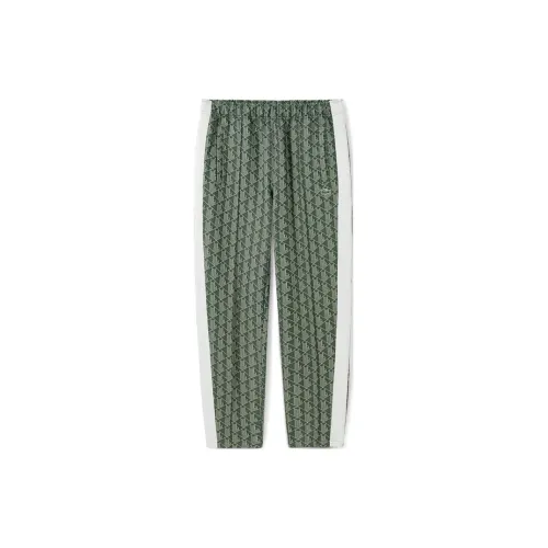 LACOSTE Knitted Sweatpants Men Green