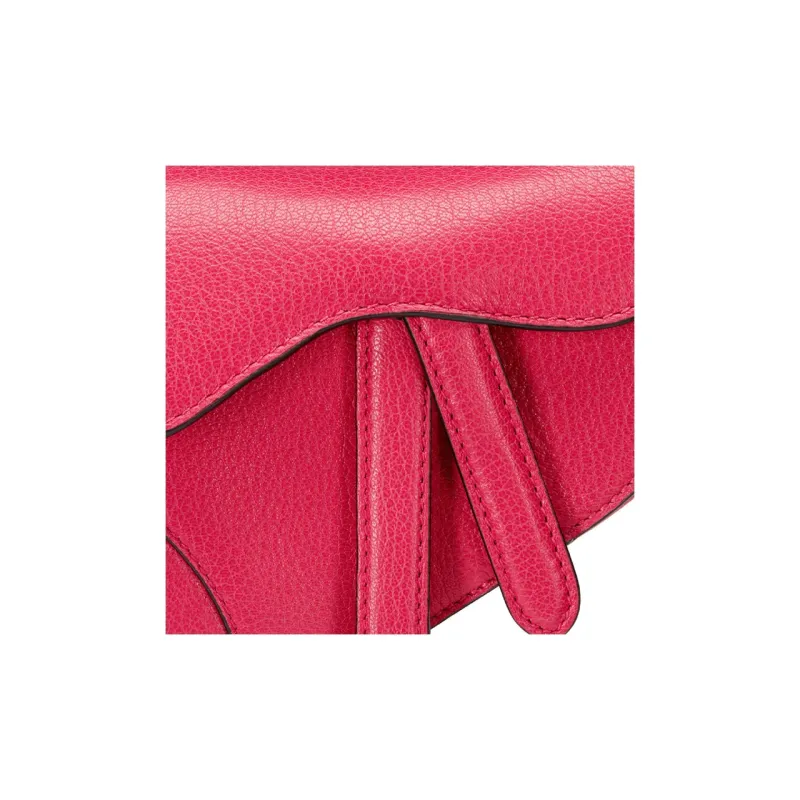 DIOR Saddle Handbags-5
