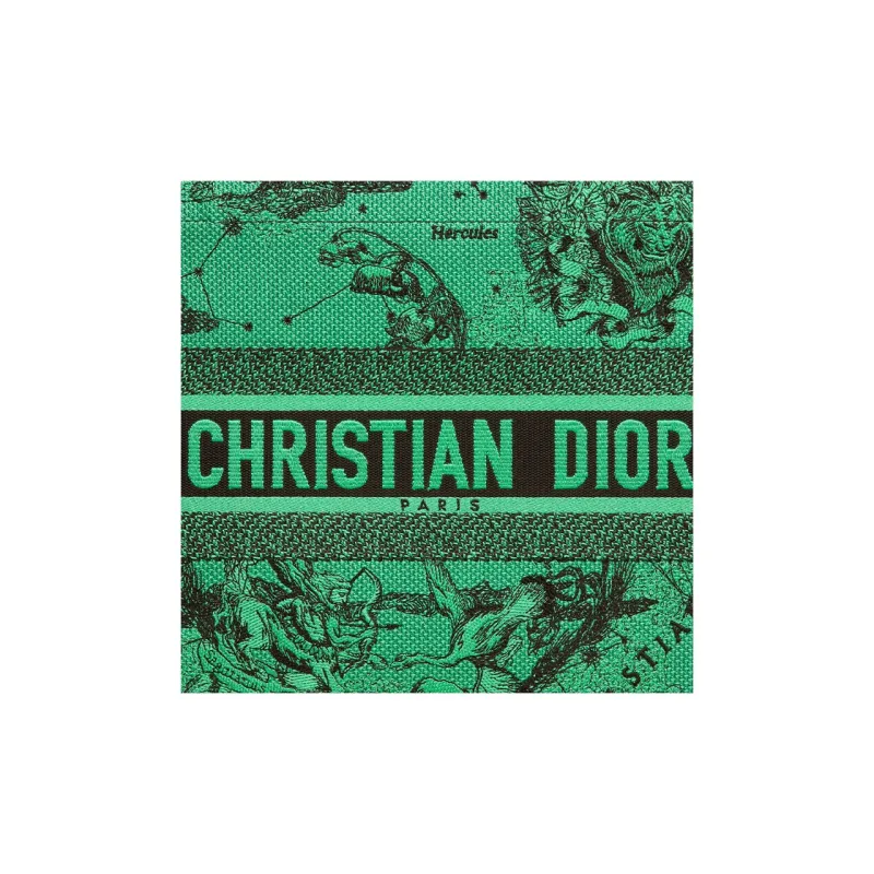 DIOR BookTote Handbags-4