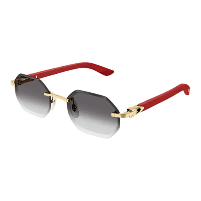 Cartier Geometric Frame Sunglasses-0
