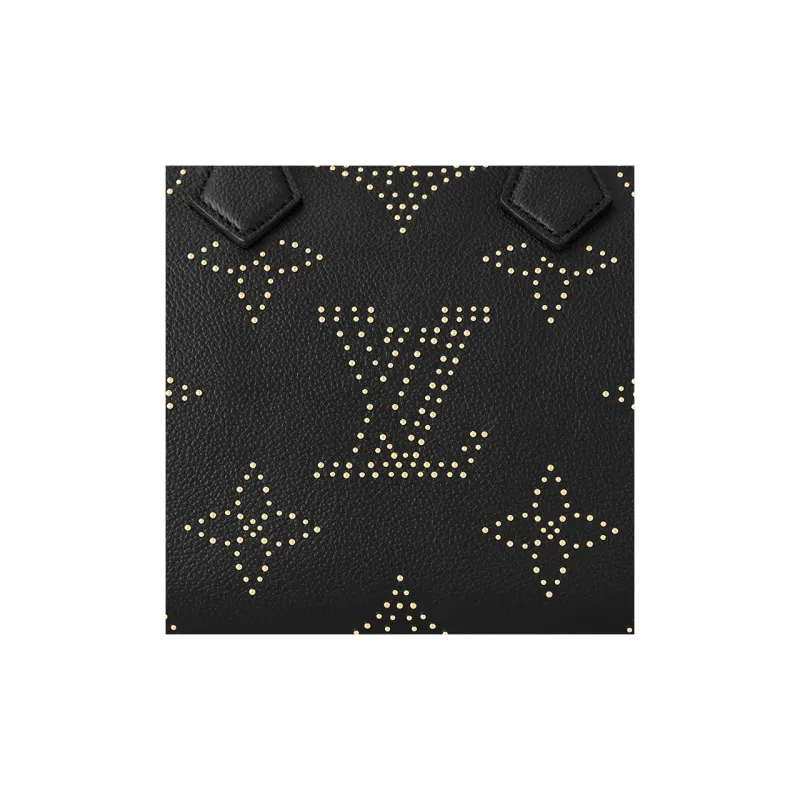 LOUIS VUITTON Speedy Bandoulière 25-4