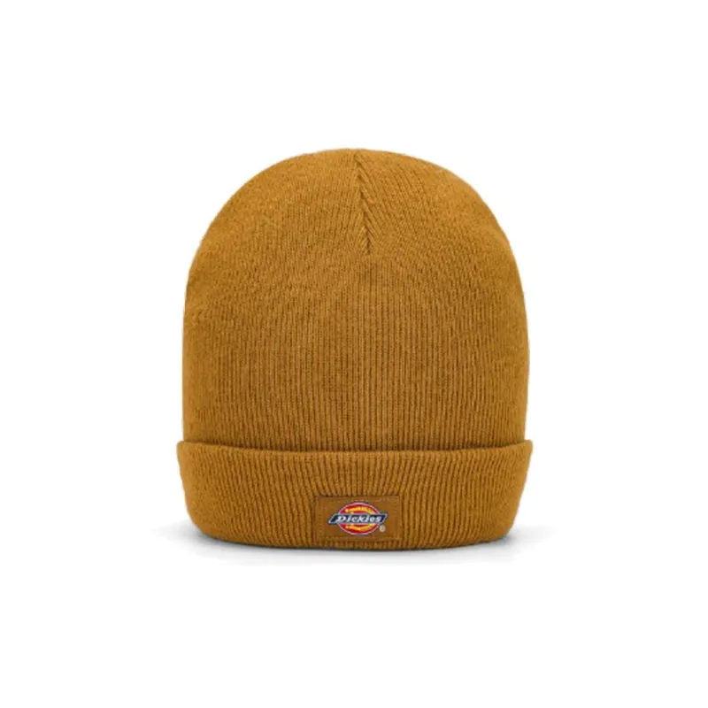 Dickies Beanies Unisex-1