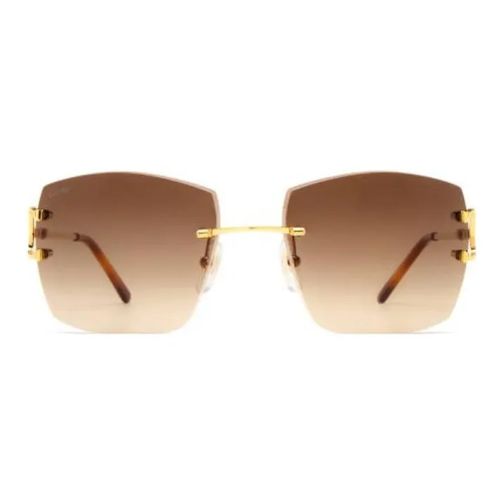 Cartier Gradient lens Square Sunglasses-1
