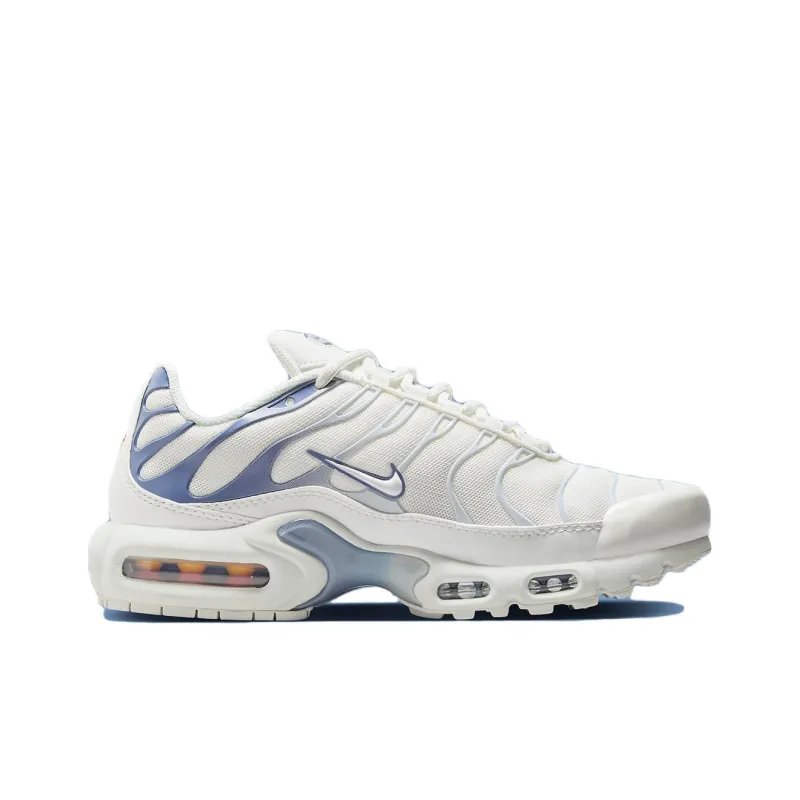 Nike Air Max Plus Ashen Slate Women's-1