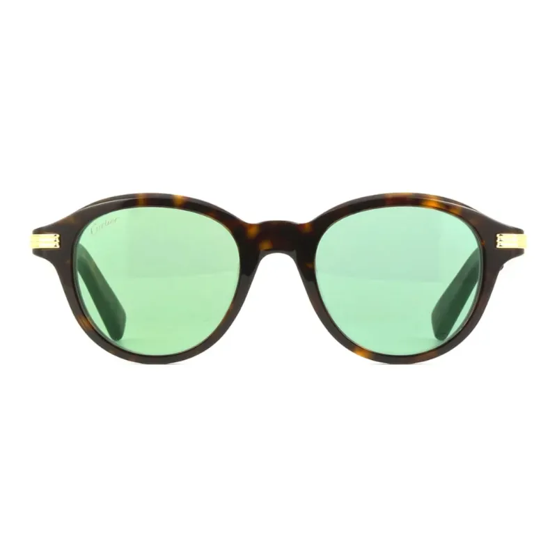 CARTIER Acetate Oval Sunglasses Men's Tortoiseshell-1