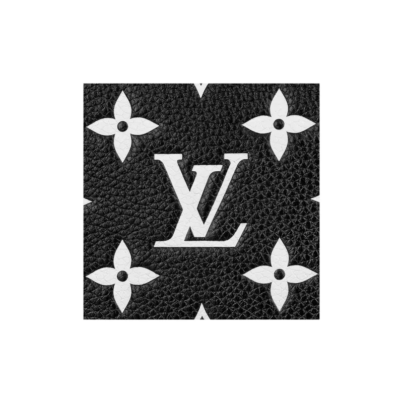 LOUIS VUITTON Bagatelle Black White-4