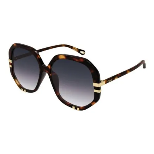 Chloé Sunglasses Women's