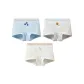 [Women's]Blueberry+Gray Coconut+White Apple