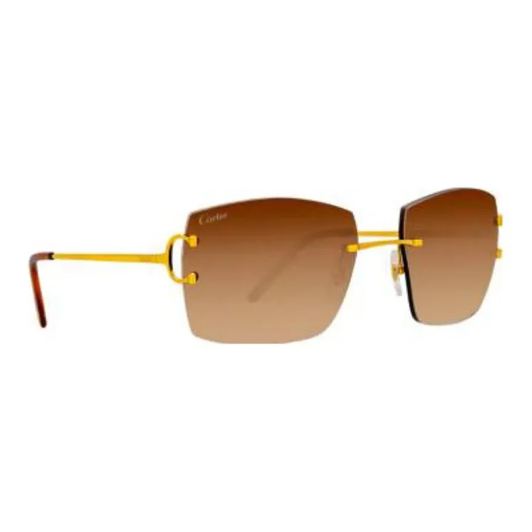 Cartier Gradient lens Square Sunglasses-2