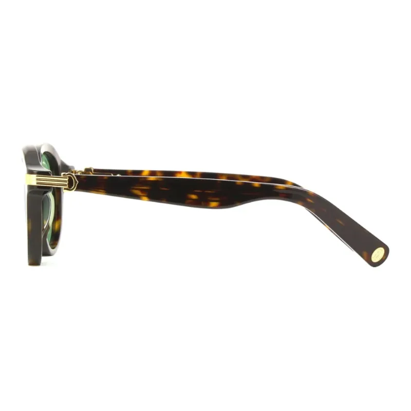 CARTIER Acetate Oval Sunglasses Men's Tortoiseshell-2