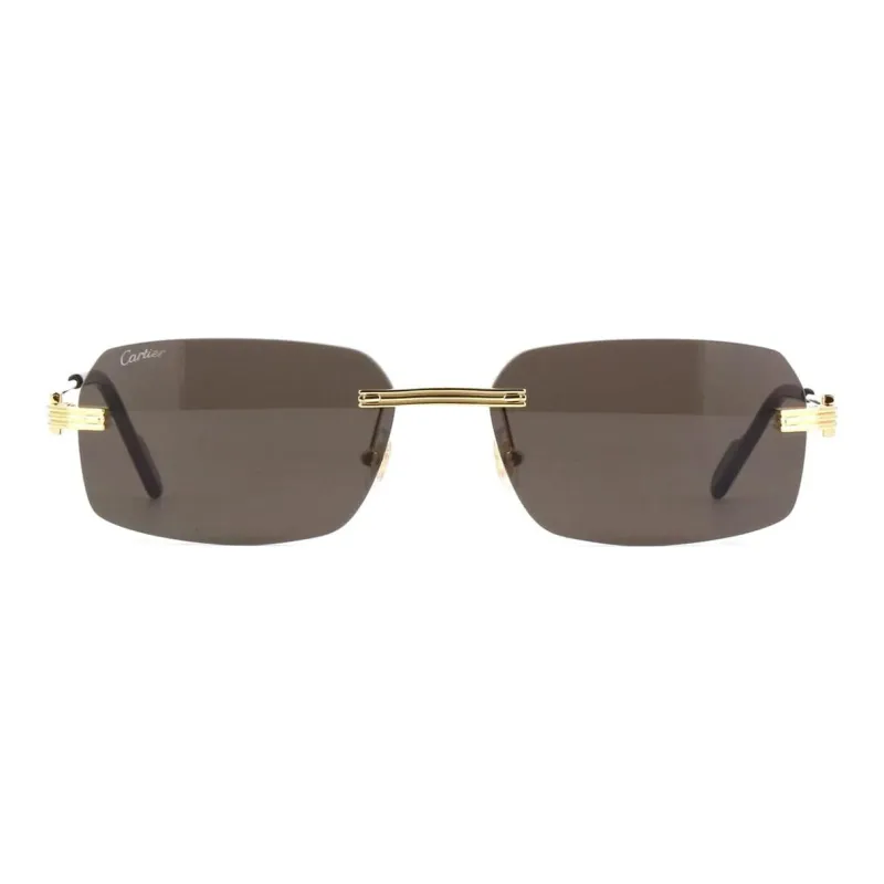 Cartier Rectangular Frame Sunglasses-1