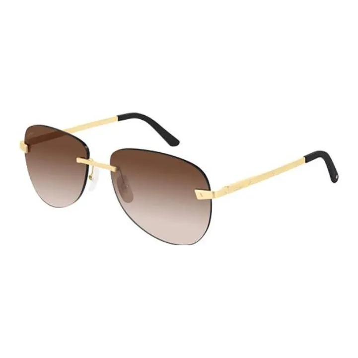 Cartier Santos De Cartier Sunglasses-0