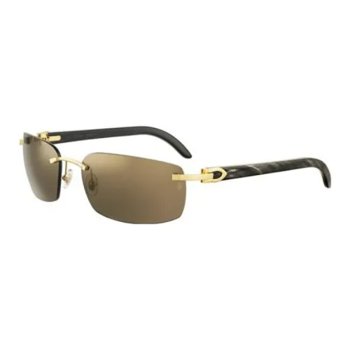 CARTIER Metal Buffalo Horn Rectangular Sunglasses Unisex Black