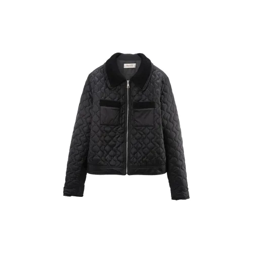 A paradise for awakening Puffer Jackets Women's Black