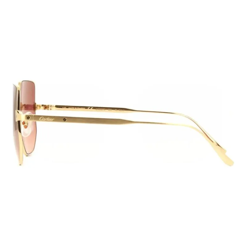 Cartier Geometric Oversized Frame Sunglasses-2