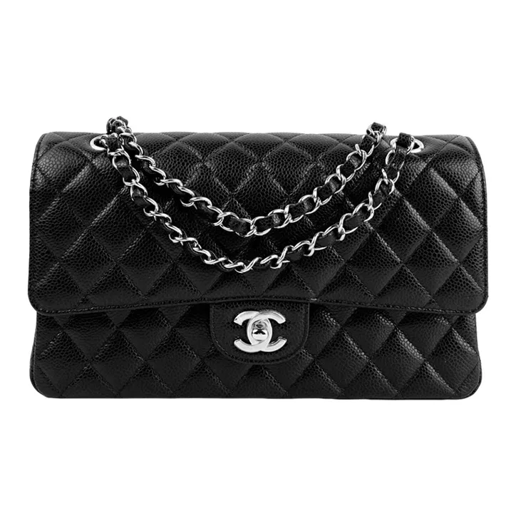 CHANEL Classic Flap CF Shoulder Bags-0