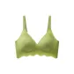 Avocado Green