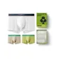 Pure White+Light Lo Yellow+Bamboo Green