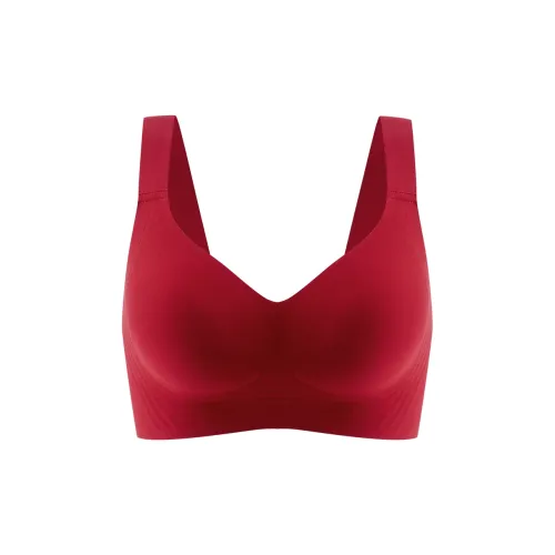 Anna Sweet Talks Women's Bras