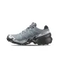 Blue Gray