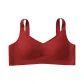 Garnet Red