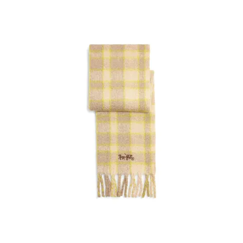 COACH Knit Scarves Women's