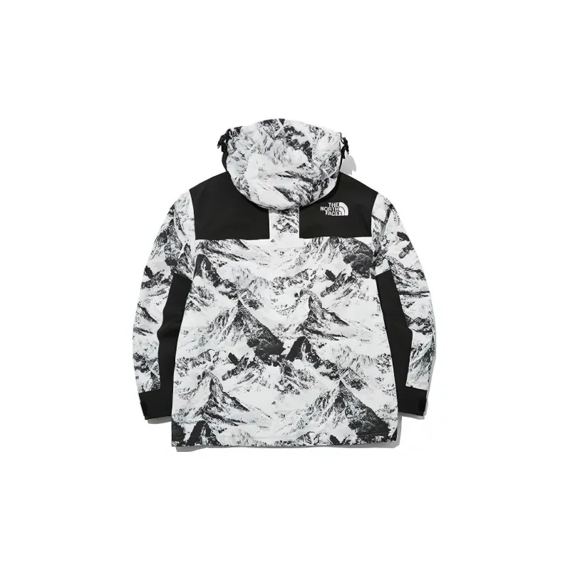 THE NORTH FACE Novelty Gtx Mountain Jacket S Nutral Gray Unisex Korea Version-1