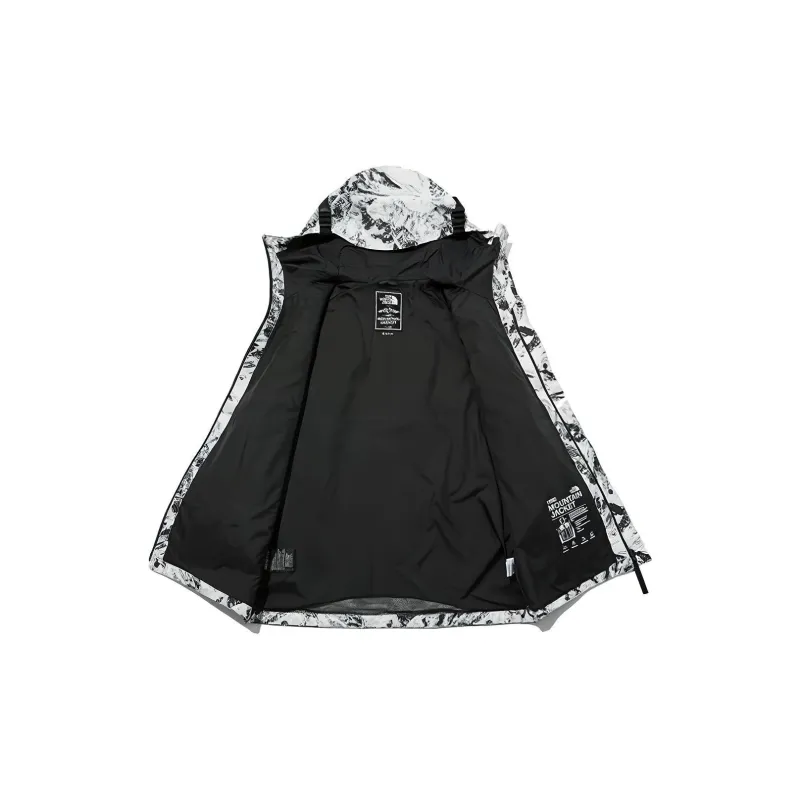 THE NORTH FACE Novelty Gtx Mountain Jacket S Nutral Gray Unisex Korea Version-2