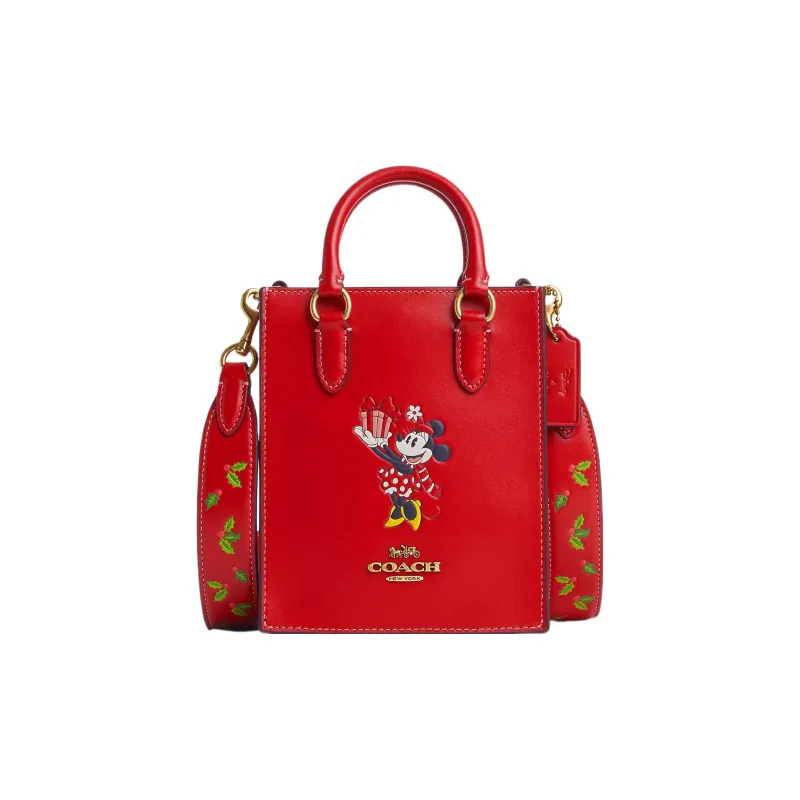 Disney X COACH N/S Handbags-0